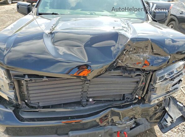 1GCPYFED1KZ103710 2019 CHEVROLET SILVERADO Black Rear interior view