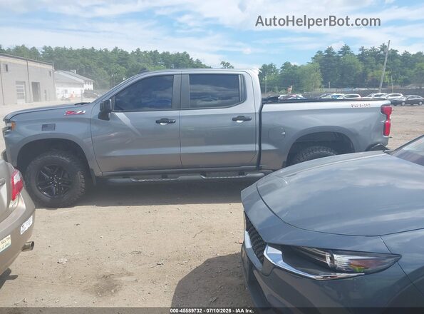 1GCPYFED2MZ170304 2021 CHEVROLET SILVERADO Gray Панорамний вид салону 360°