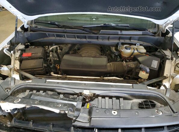1GCPYFED3MZ130636 2021 CHEVROLET SILVERADO Белый Вид задней части салона