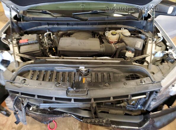 1GCPYFED3MZ161496 2021 CHEVROLET SILVERADO Silver Вид задньої частини салону