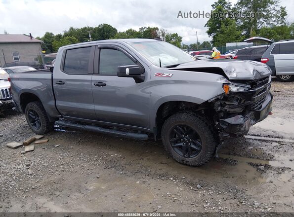1GCPYFED4LZ287915 2020 CHEVROLET SILVERADO Серый Панорамный вид салона 360°