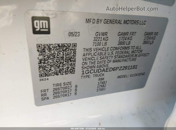1GCUDAED6PZ291181 2023 CHEVROLET SILVERADO White Widok komory silnika
