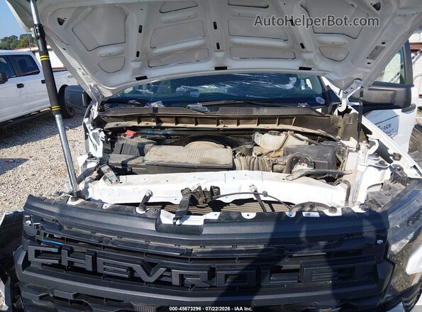 1GCUDAED6PZ291181 2023 CHEVROLET SILVERADO White Widok z tyłu