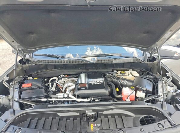 1GCUDDE80PZ220403 2023 CHEVROLET SILVERADO Серый Вид задней части салона