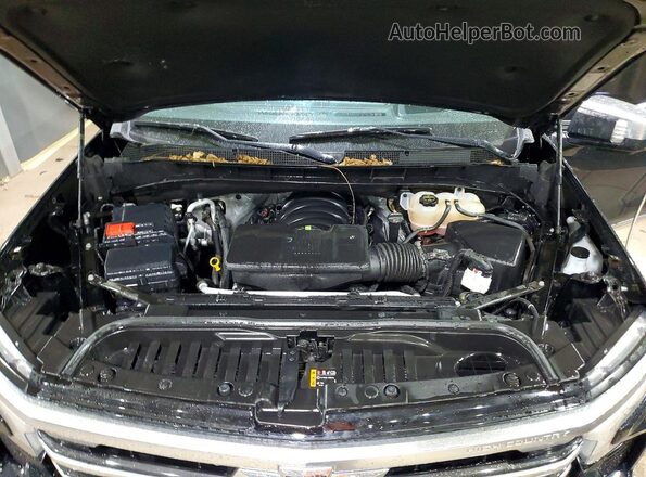 1GCUDJEL6RZ293703 2024 CHEVROLET SILVERADO Black Սալոնի հետևի տեսք