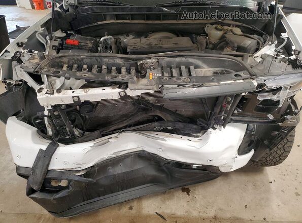 1GCUYEED0MZ271810 2021 CHEVROLET SILVERADO White Widok wnętrza z tyłu