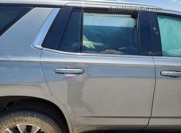 1GNSCNKD9PR563364 2023 CHEVROLET TAHOE Blue Սալոնի հետևի տեսք