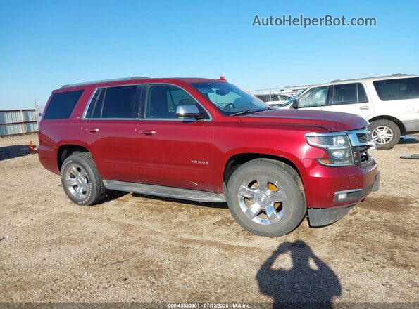 1GNSKCKC8GR357483 2016 CHEVROLET TAHOE Maroon Սալոնի հետևի տեսք