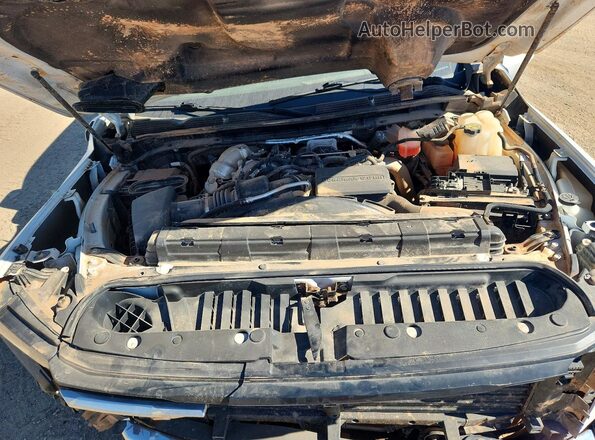 1GT49MEY1RF259183 2024 GMC SIERRA Белый Вид задней части салона