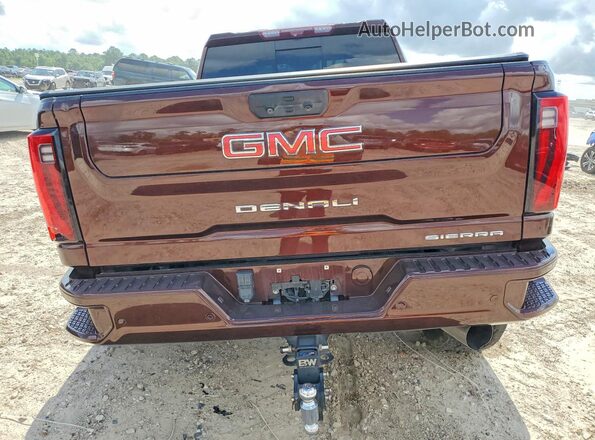 1GT49REY3RF168087 2024 GMC SIERRA Brown Հետևի տեսք