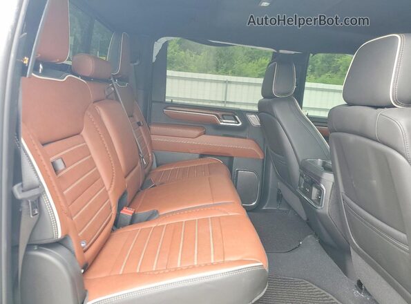 1GT4UXEY5SF253778 2025 GMC SIERRA Белый Вид задних сидений