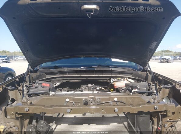 1GTPHCEK7PZ263966 2023 GMC SIERRA Brown Widok z tyłu