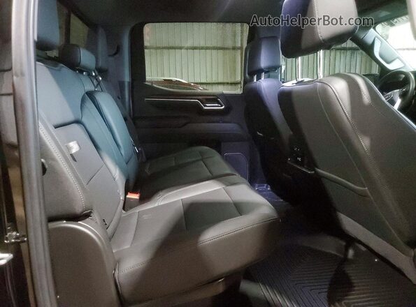 1GTPHDED7SZ114487 2025 GMC SIERRA Черный Вид задних сидений
