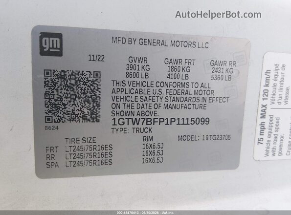 1GTW7BFP1P1115099 2023 GMC SAVANA CARGO White Widok komory silnika