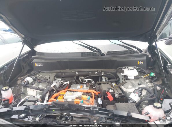1GYC3MML7TZ710071 2026 CADILLAC VISTIQ Green Հետևի տեսք