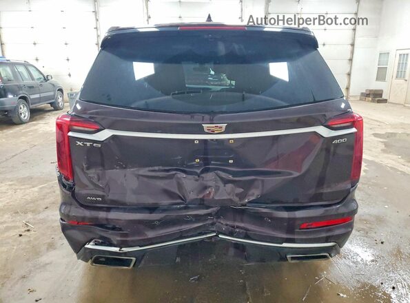 1GYKPDRS5MZ176652 2021 CADILLAC XT6 Burgundy Вид ззаду