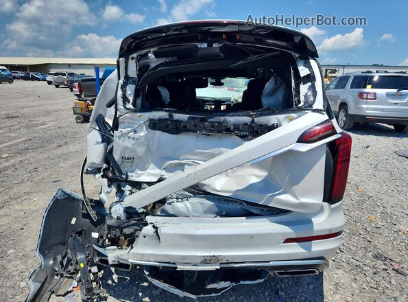 1GYKPDRS8RZ703249 2024 CADILLAC XT6 Белый Вид сзади