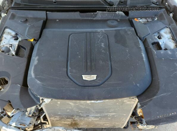 1GYKPVRK6RZ124492 2024 CADILLAC OTHER White Вид задньої частини салону
