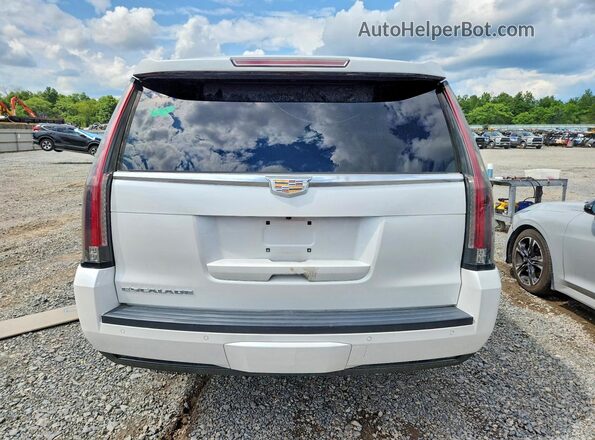 1GYS4BKJ3GR320220 2016 CADILLAC ESCALADE Белый Вид сзади