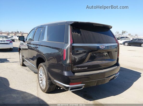 1GYS4BKL6PR263786 2023 CADILLAC ESCALADE Gray უკანა მარცხენა