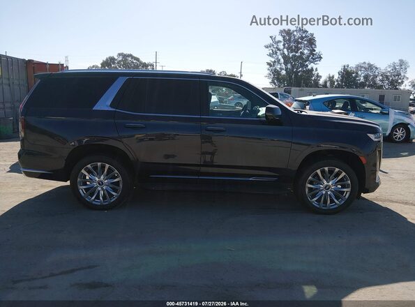 1GYS4BKL6PR263786 2023 CADILLAC ESCALADE Gray უკანა სალონის ხედი