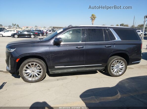 1GYS4BKL6PR263786 2023 CADILLAC ESCALADE Gray სალონის 360-გრადუსიანი ხედი