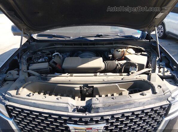 1GYS4BKL6PR263786 2023 CADILLAC ESCALADE Gray უკანა ხედი