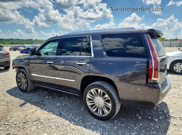 1GYS4DKJ7GR177364 2016 CADILLAC ESCALADE Gray Trasero izquierdo