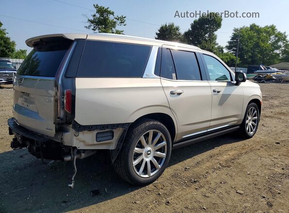 1GYS4DKL9PR200645 2023 CADILLAC ESCALADE Beige Tył prawy