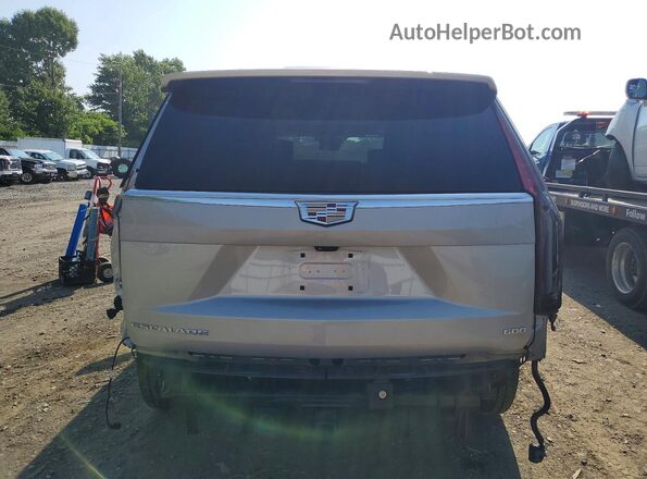 1GYS4DKL9PR200645 2023 CADILLAC ESCALADE Beige Widok z tyłu