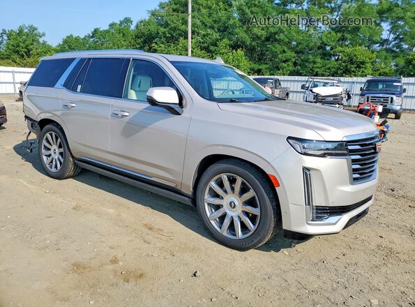 1GYS4DKL9PR200645 2023 CADILLAC ESCALADE Beige Przód prawy