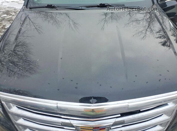 1GYS4KKJ7GR432907 2016 CADILLAC ESCALADE Черный Вид подкапотного пространства