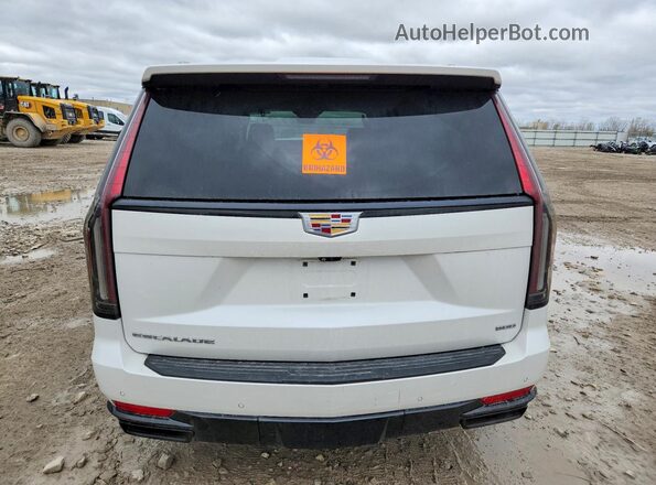 1GYS4NKL2MR346080 2021 CADILLAC ESCALADE White უკანა ხედი