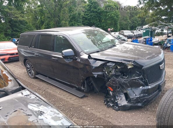 1GYS4RKL9PR178885 2023 CADILLAC ESCALADE Black Widok wnętrza z tyłu