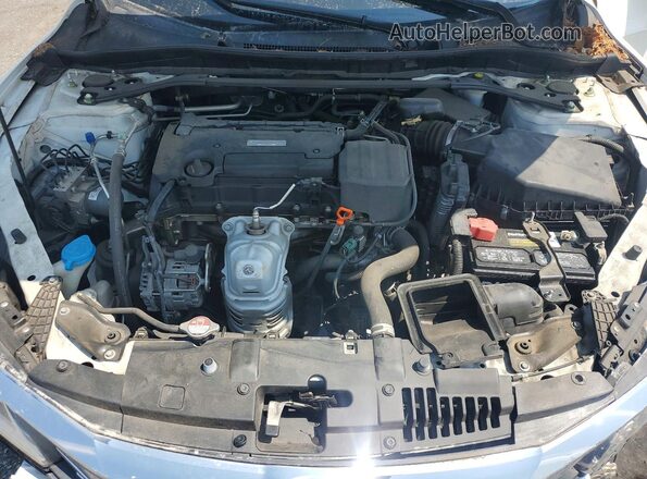 1HGCR2F03HA045351 2017 HONDA ACCORD White Սալոնի հետևի տեսք