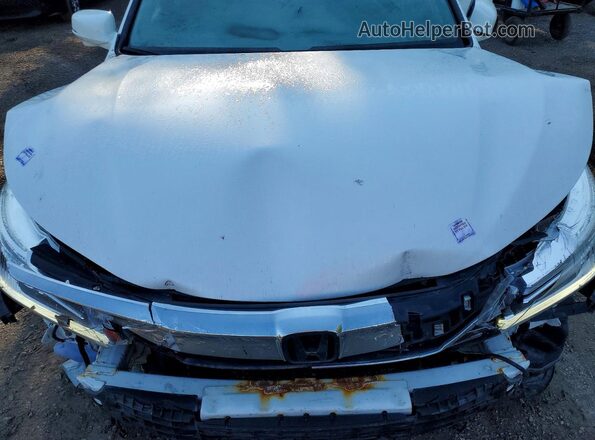 1HGCR2F06HA805000 2017 HONDA ACCORD White Вид задньої частини салону