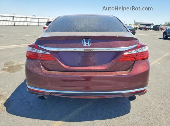 1HGCR2F10HA087582 2017 HONDA ACCORD Maroon Widok z tyłu
