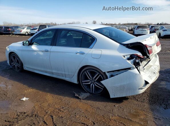 1HGCR2F11HA084397 2017 HONDA ACCORD White Rear left