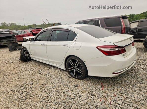 1HGCR2F12HA072890 2017 HONDA ACCORD White Rear left