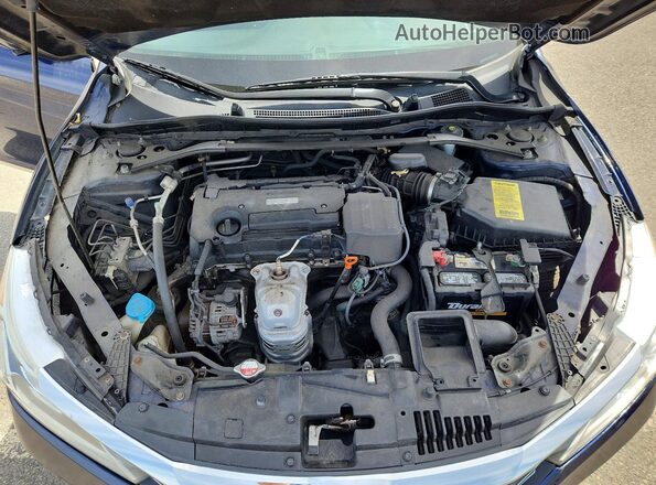 1HGCR2F12HA249955 2017 HONDA ACCORD Blue Widok wnętrza z tyłu