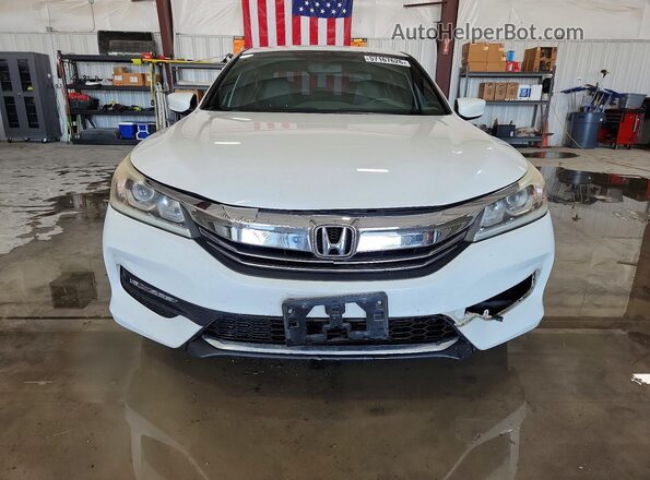 1HGCR2F14HA077976 2017 HONDA ACCORD Белый Вид спереди