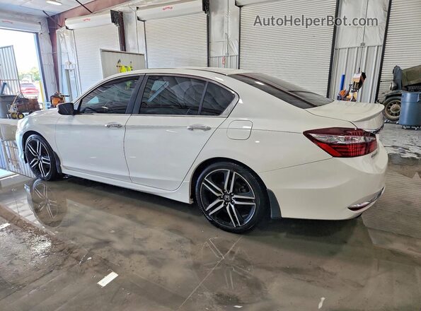 1HGCR2F14HA077976 2017 HONDA ACCORD Белый Задняя левая четверть