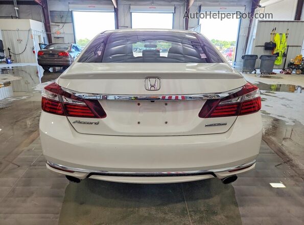 1HGCR2F14HA077976 2017 HONDA ACCORD Белый Вид сзади
