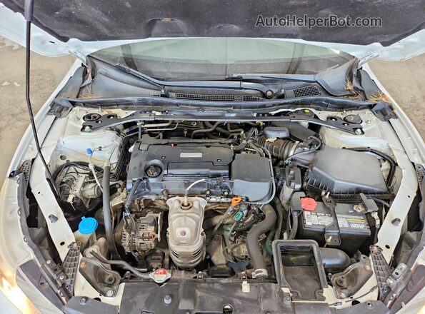 1HGCR2F14HA077976 2017 HONDA ACCORD Белый Вид задней части салона