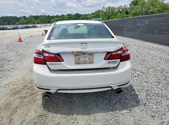 1HGCR2F16HA202928 2017 HONDA ACCORD White Вид ззаду