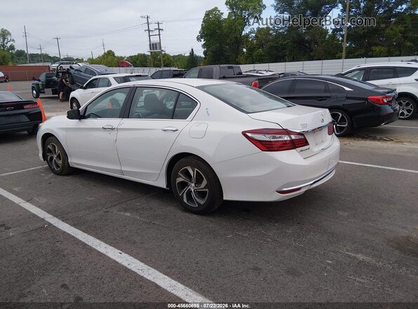 1HGCR2F32HA224409 2017 HONDA ACCORD White Tył lewy