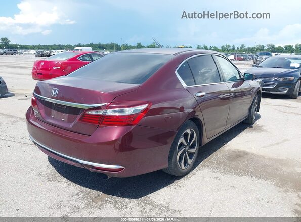 1HGCR2F36HA003461 2017 HONDA ACCORD Burgundy Tył prawy