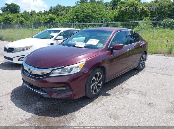 1HGCR2F36HA003461 2017 HONDA ACCORD Burgundy Przód lewy