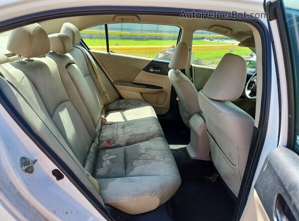 1HGCR2F37GA105589 2016 HONDA ACCORD Белый Вид задних сидений