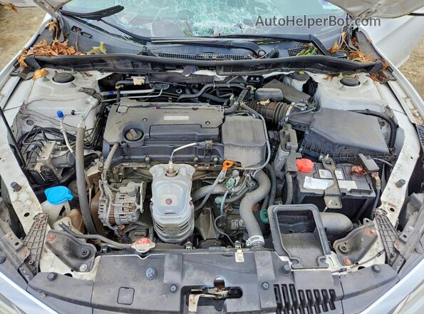 1HGCR2F38HA302837 2017 HONDA ACCORD White Սալոնի հետևի տեսք